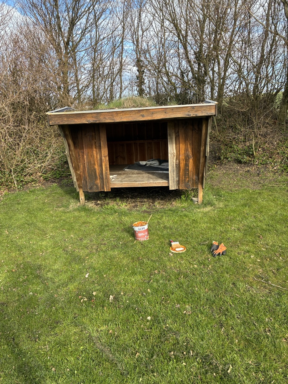 Gro%C3%9F%20%28IMG_1356%29